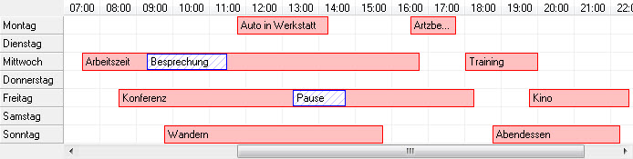 bBrowser 4: Zellengruppen