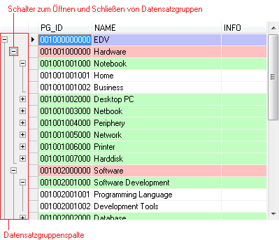 bBrowser 4: Datensatzgruppen